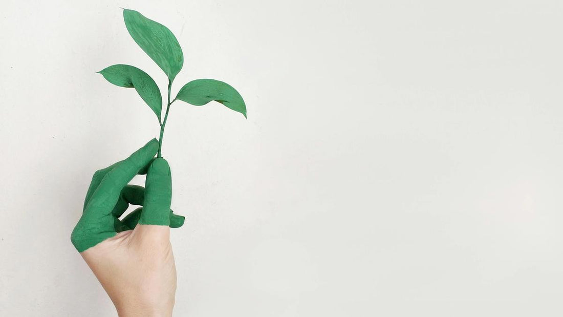 Circular Economy - Was ist das eigentlich?
