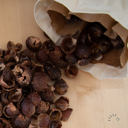 Popolini | Waschnüsse 1 kg