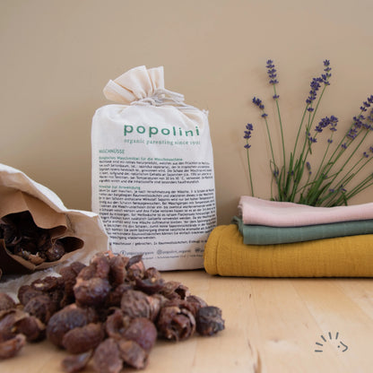 Popolini | Waschnüsse 1 kg