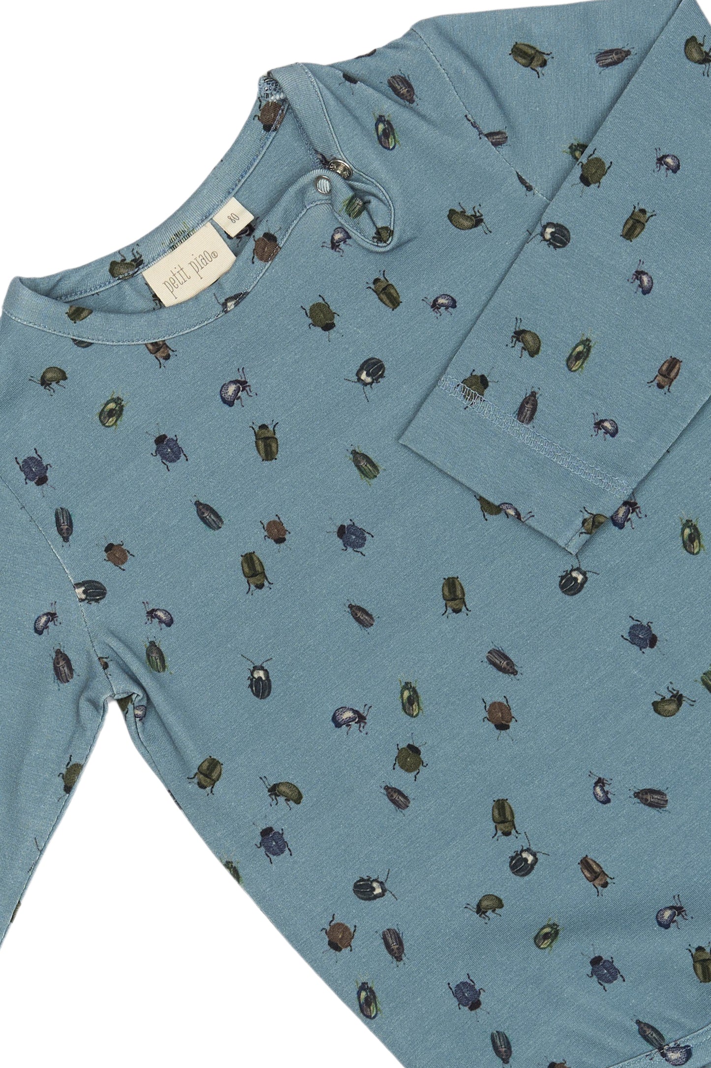 petite piao | Body | Beetle