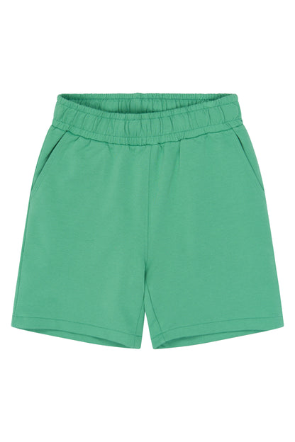 The New | Shorts | Crème De Menthe