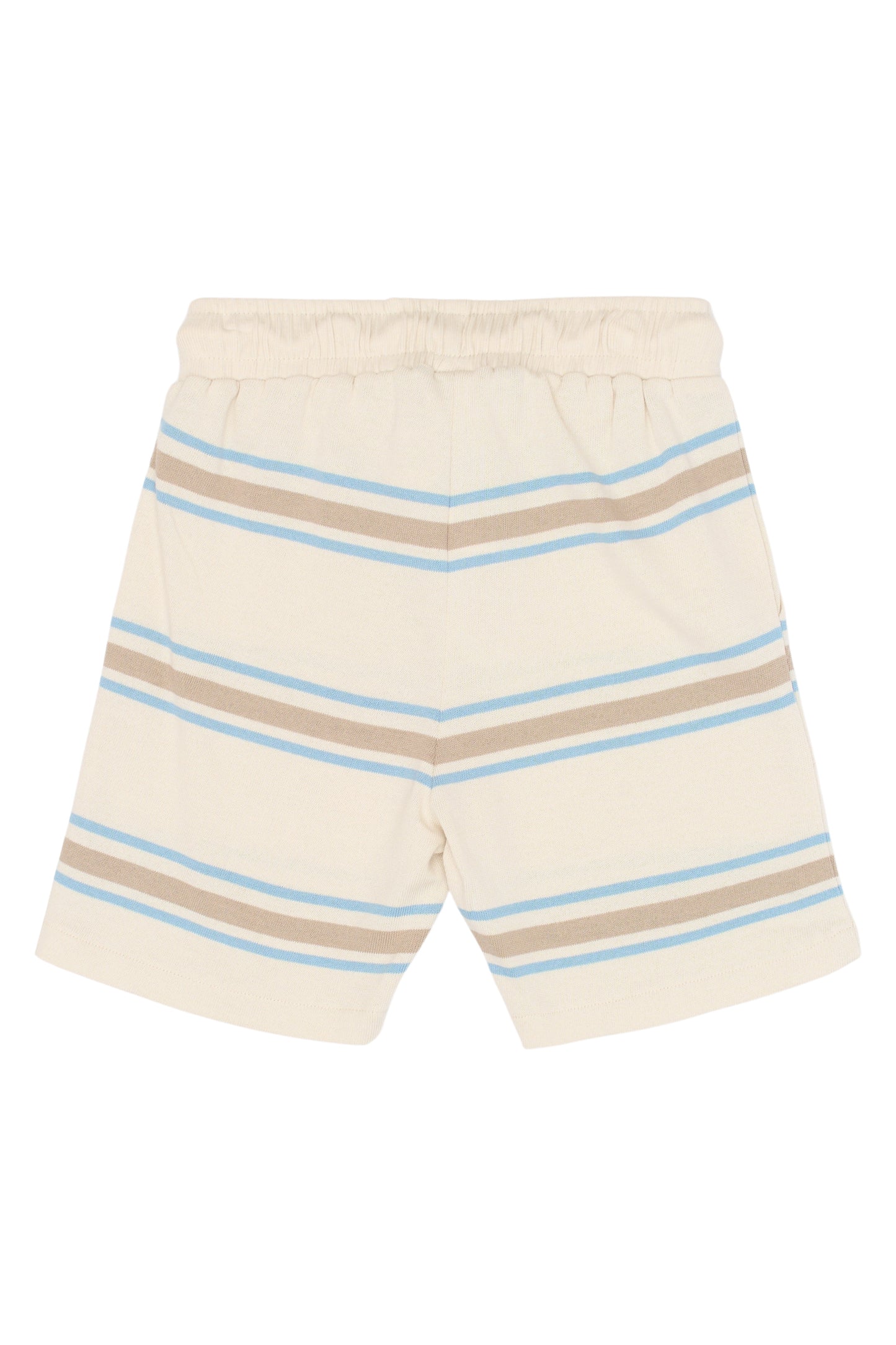 The New | Shorts | Multi Striped