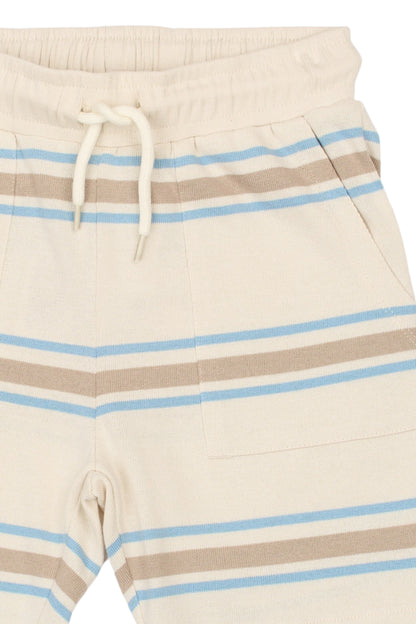 The New | Shorts | Multi Striped