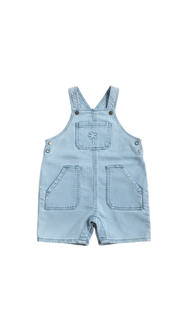 Orchestra | Shorts | Neworn