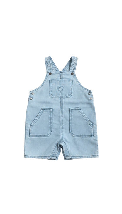 Orchestra | Shorts | Neworn